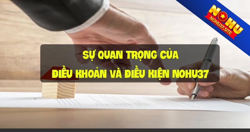 Sự quan trọng của chính sách điều khoản và điều kiện nohu37